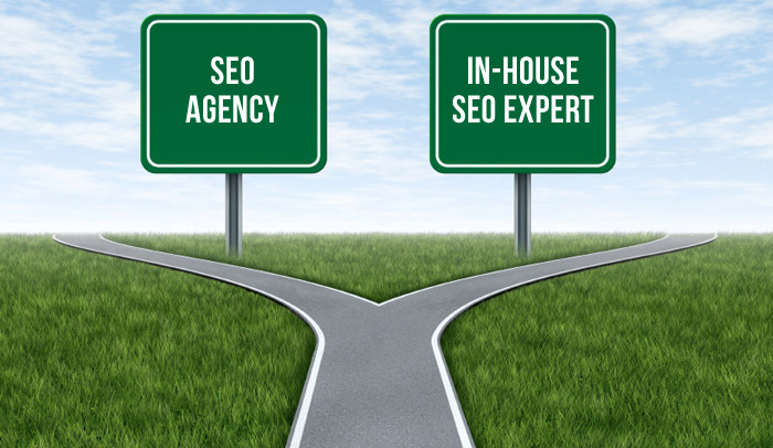 The 2 Main SEO Options